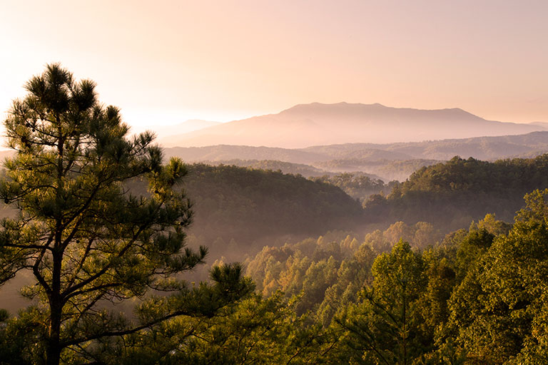Great Smoky Mountain National Park