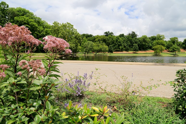 Shelby Park, Nashville, TN. Photo By Raj H.