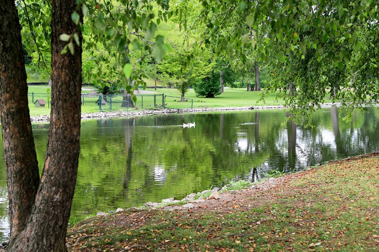 Shelby Park, Nashville, TN. Photo By Raj H.