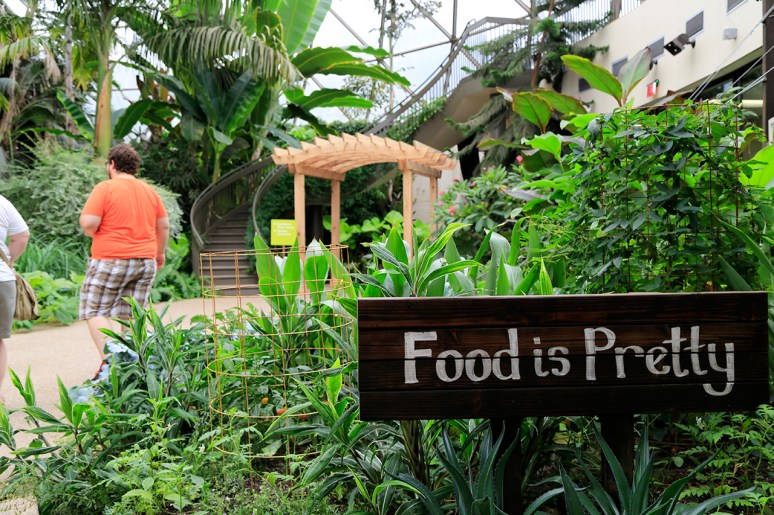 Greater Des Moines Botanical Garden. Photo By Raj H.