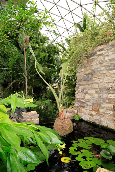 Greater Des Moines Botanical Garden. Photo By Raj H.