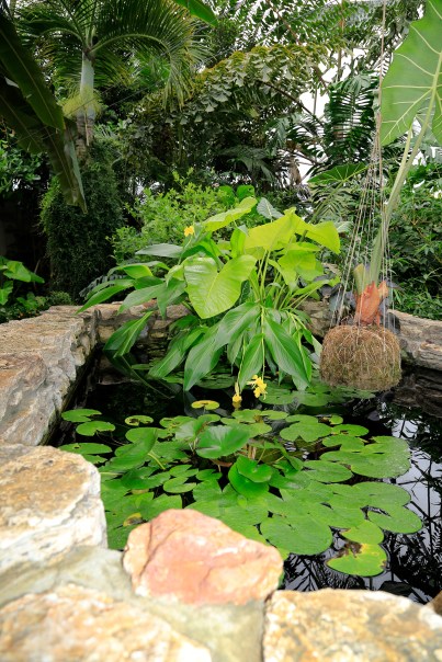 Greater Des Moines Botanical Garden. Photo By Raj H.