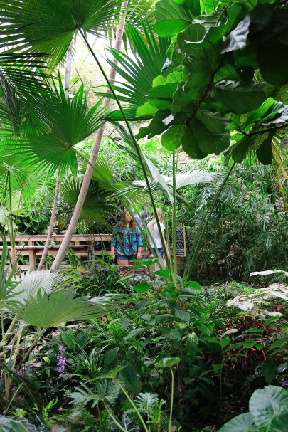 Greater Des Moines Botanical Garden. Photo By Raj H.