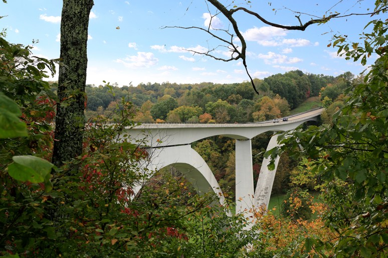 Natchez Trace Parkway. Photo by Raj H.