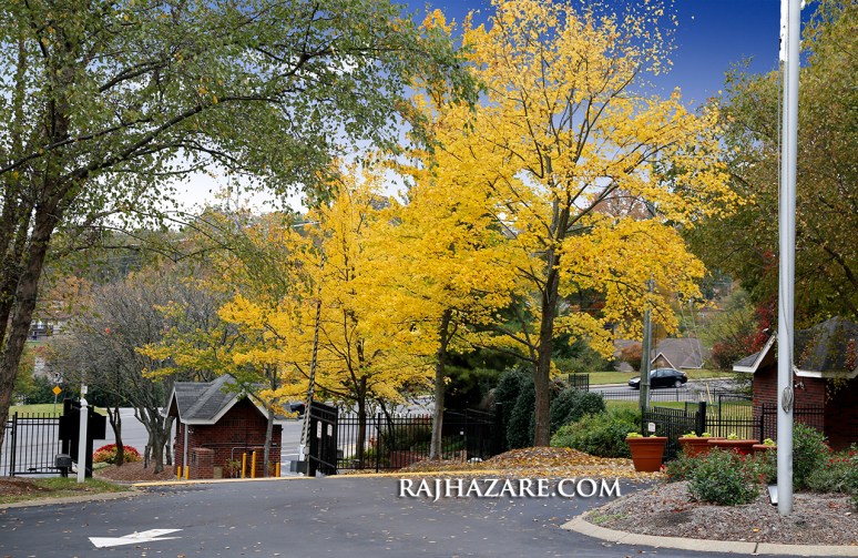 Fall Colors 2015. Photo by Raj H