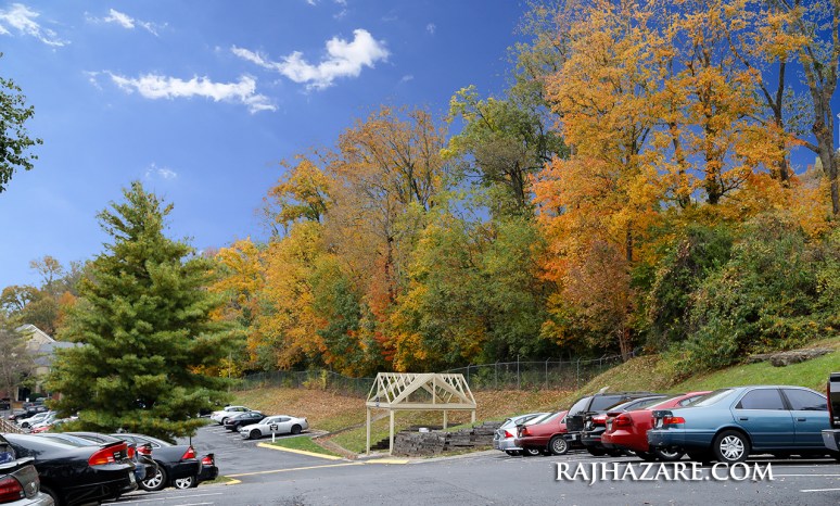 Fall Colors 2015. Photo by Raj H