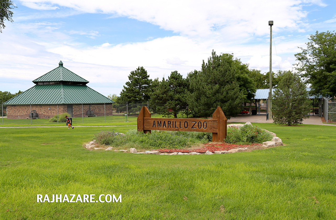 Amarillo Zoo. Photo by Raj H.