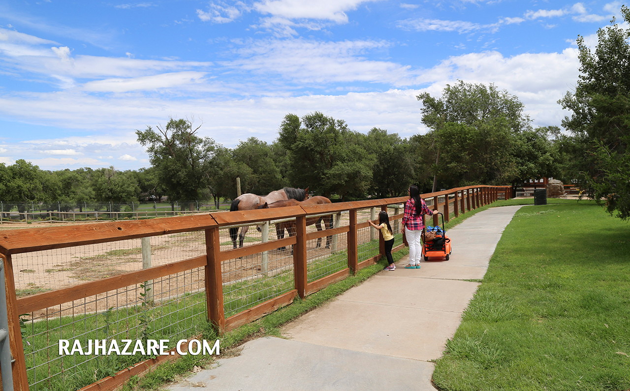Amarillo Zoo. Photo by Raj H.