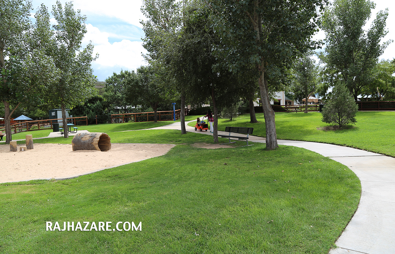 Amarillo Zoo. Photo by Raj H.