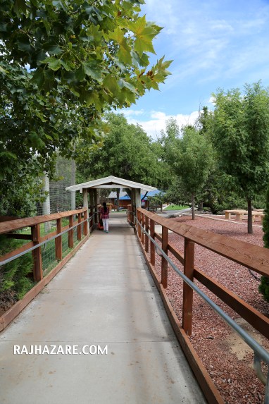 Amarillo Zoo. Photo by Raj H.